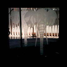 elephant etching